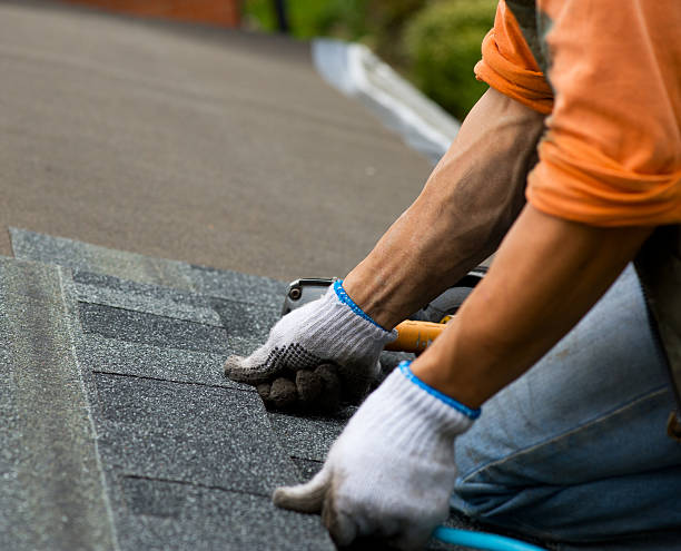Best Gutter Installation and Roofing  in Mcdonald, OH